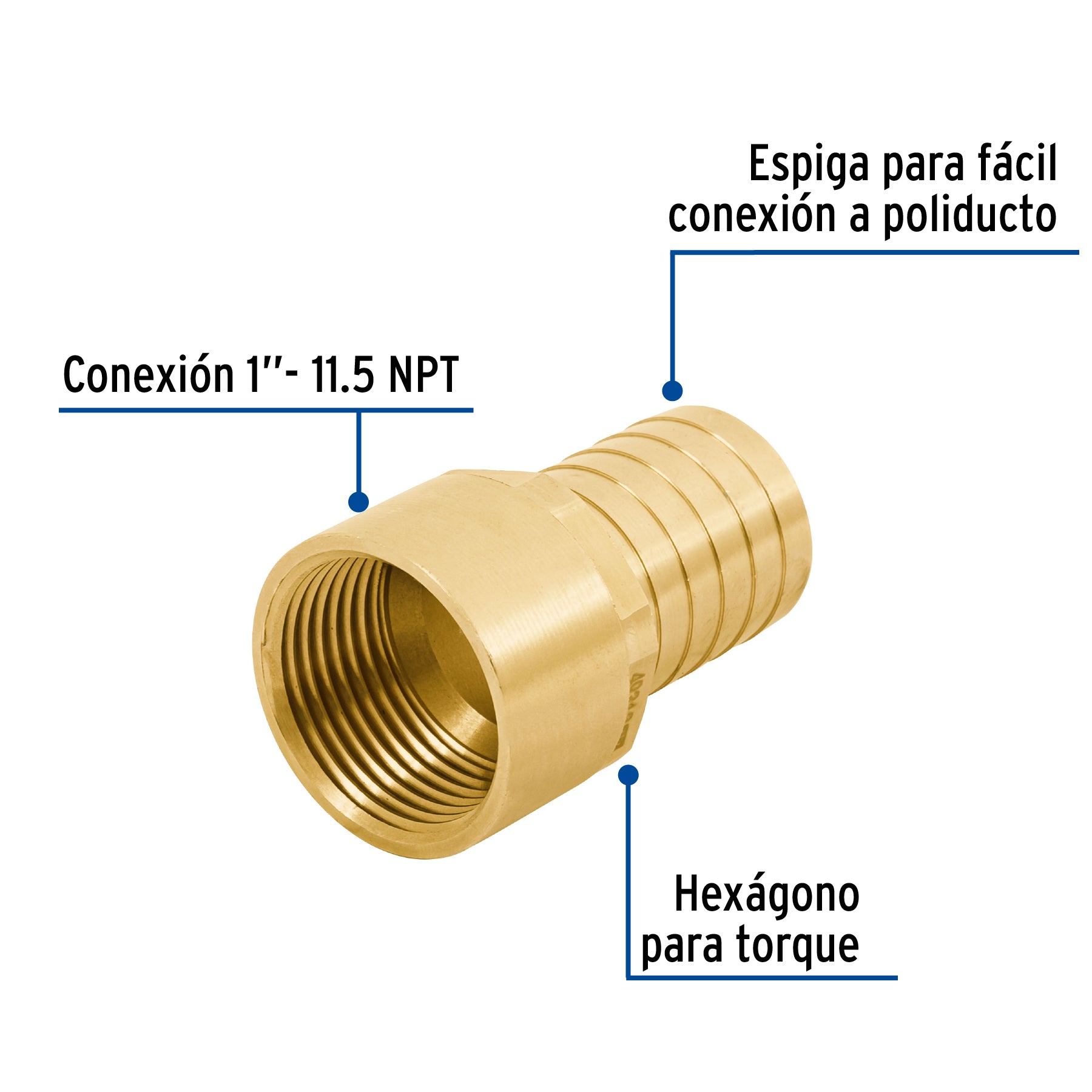 Adaptador hembra de latón 1' para poliducto, Foset ADPO-1H 49313 MM00