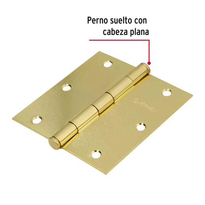 Bisagra cuadrada 3-1/2',latonado, cabeza plana, Hermex Basic BC-351PP 23685 MM1