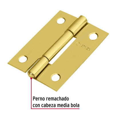 Bisagra rectangular 2' acero latonado, Hermex BR-201 43194 MM0