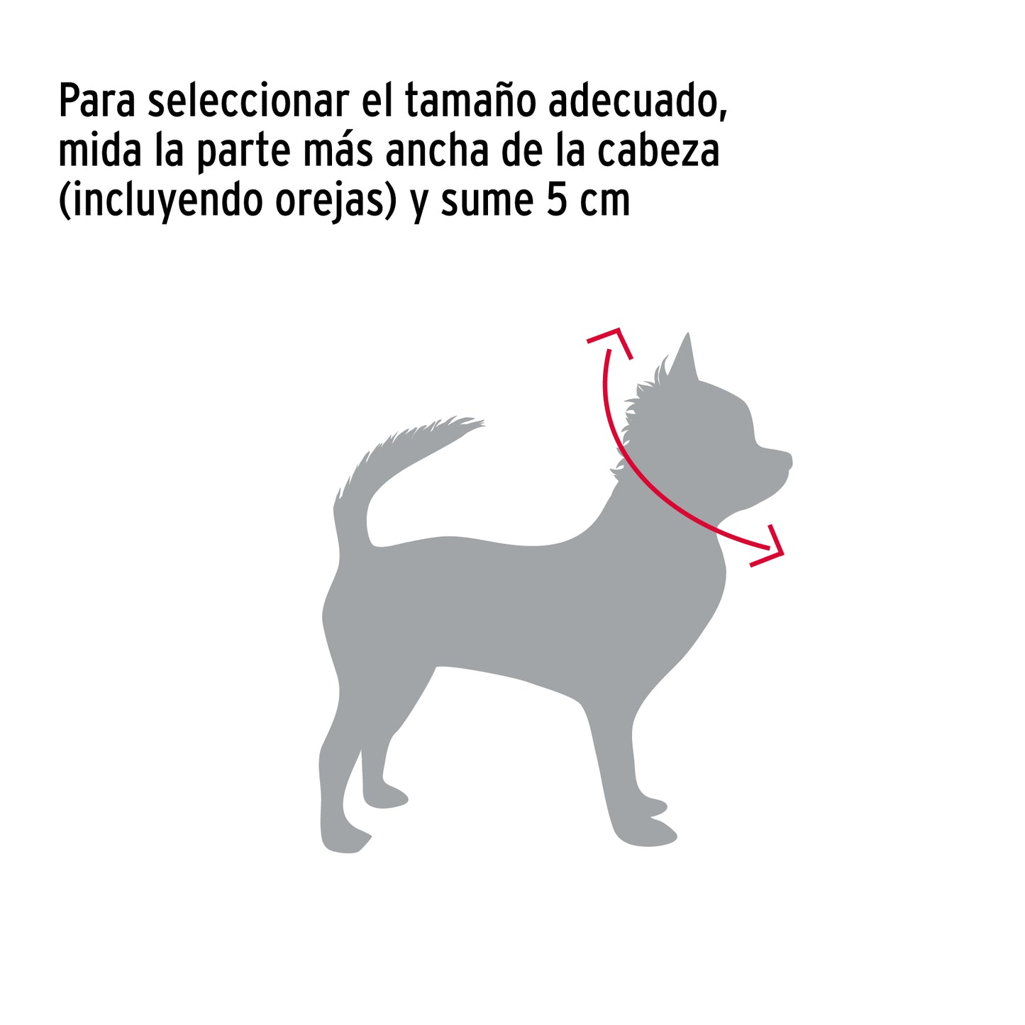 Collar de entrenamiento para perro, 45 cm, eslabón 2 mm CACA-20 44289 MM00