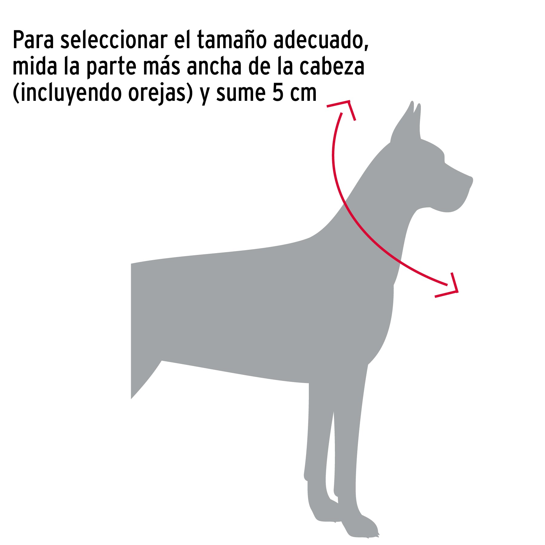 Collar de entrenamiento para perro, 60 cm, eslabón de 4 mm CACA-40 44293 MM00