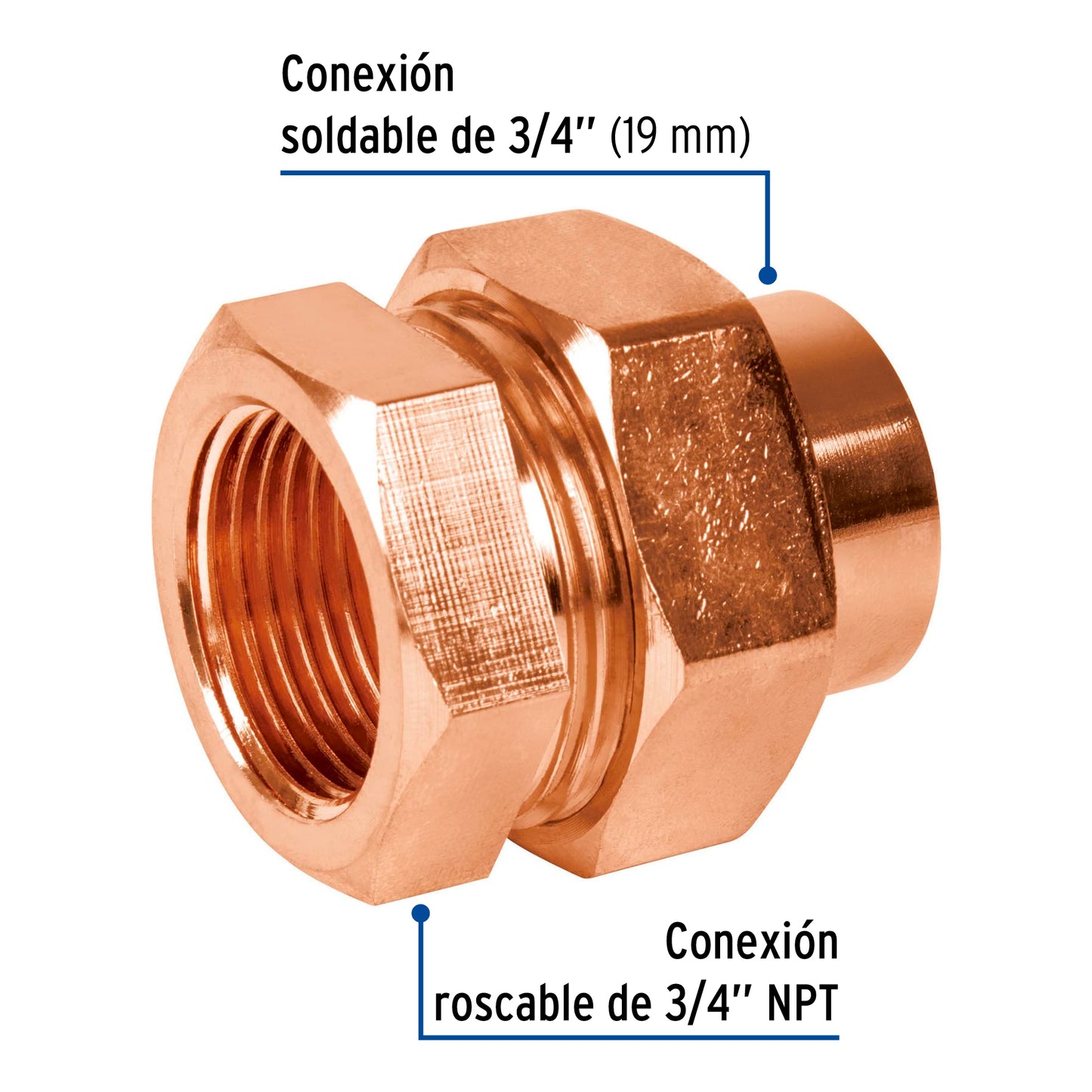 Tuerca unión latón cobrizado 3/4' rosca interior, Foset CC-982 48883 MM00