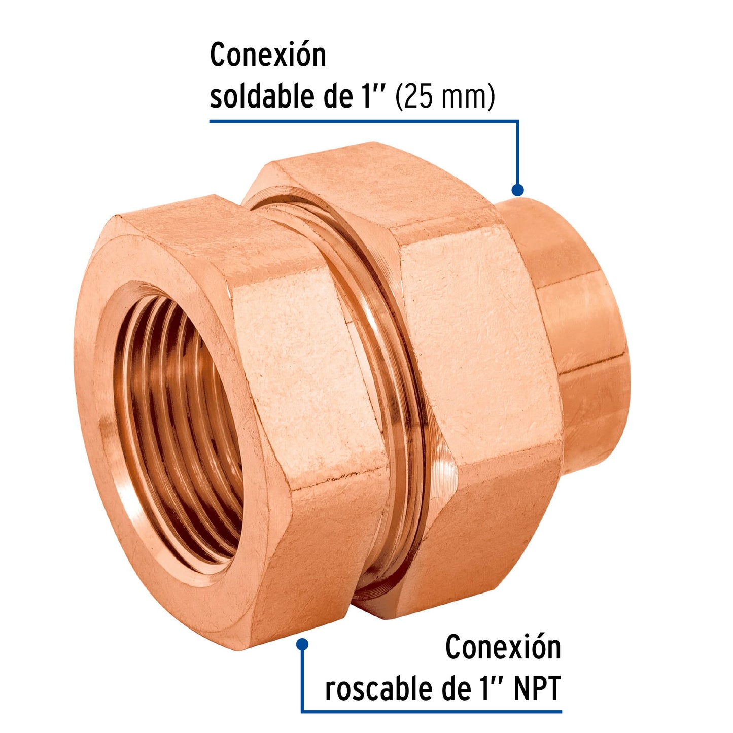 Tuerca unión latón cobrizado 1' rosca interior, Foset CC-983 48884 MM00