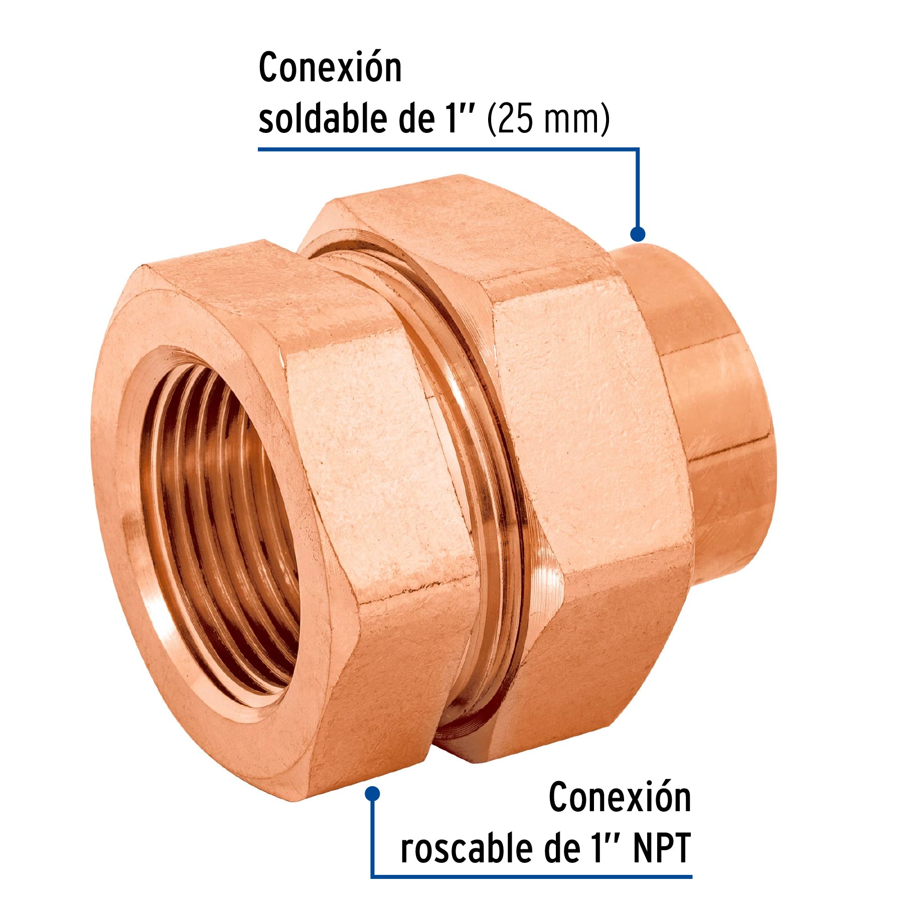 Tuerca unión latón cobrizado 1' rosca interior, Foset CC-983 48884 MM00