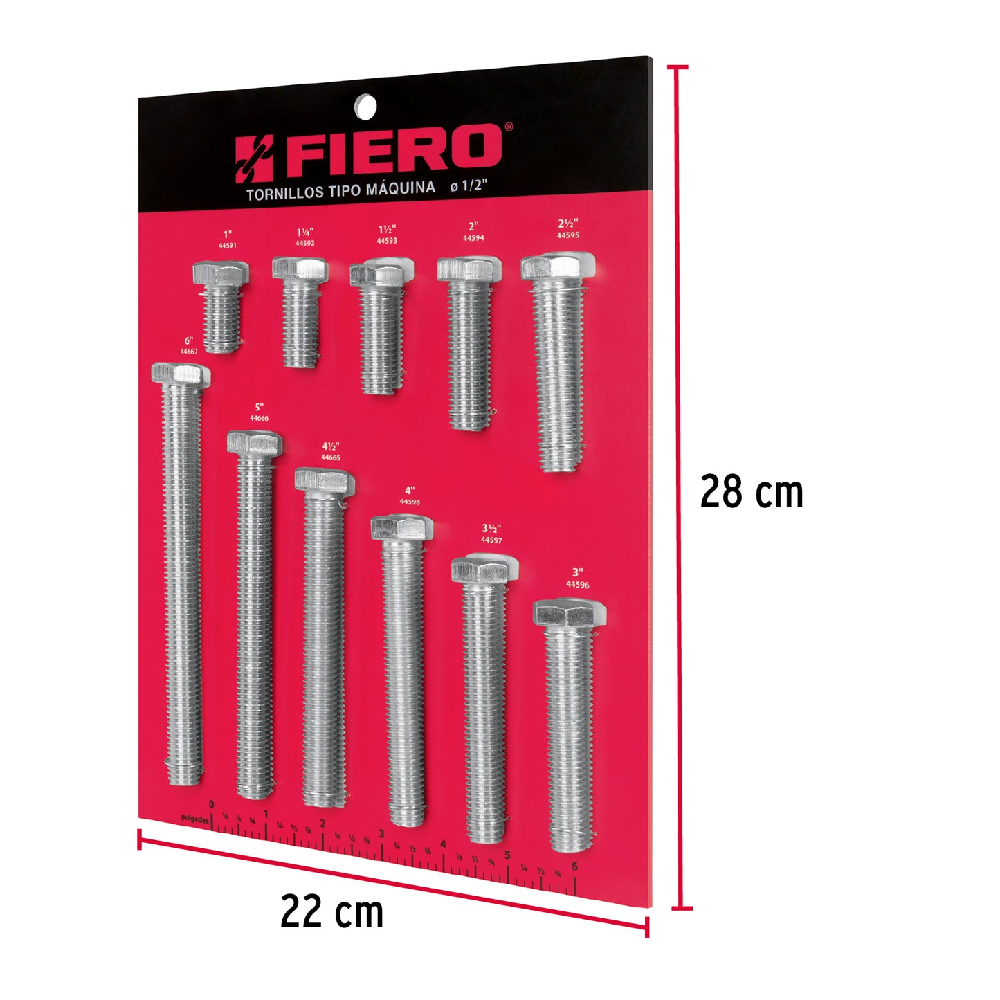 Exhibidor Fiero con tornillos tipo máquina, 1/2' EXF-TORM-1/2 55902 MM3