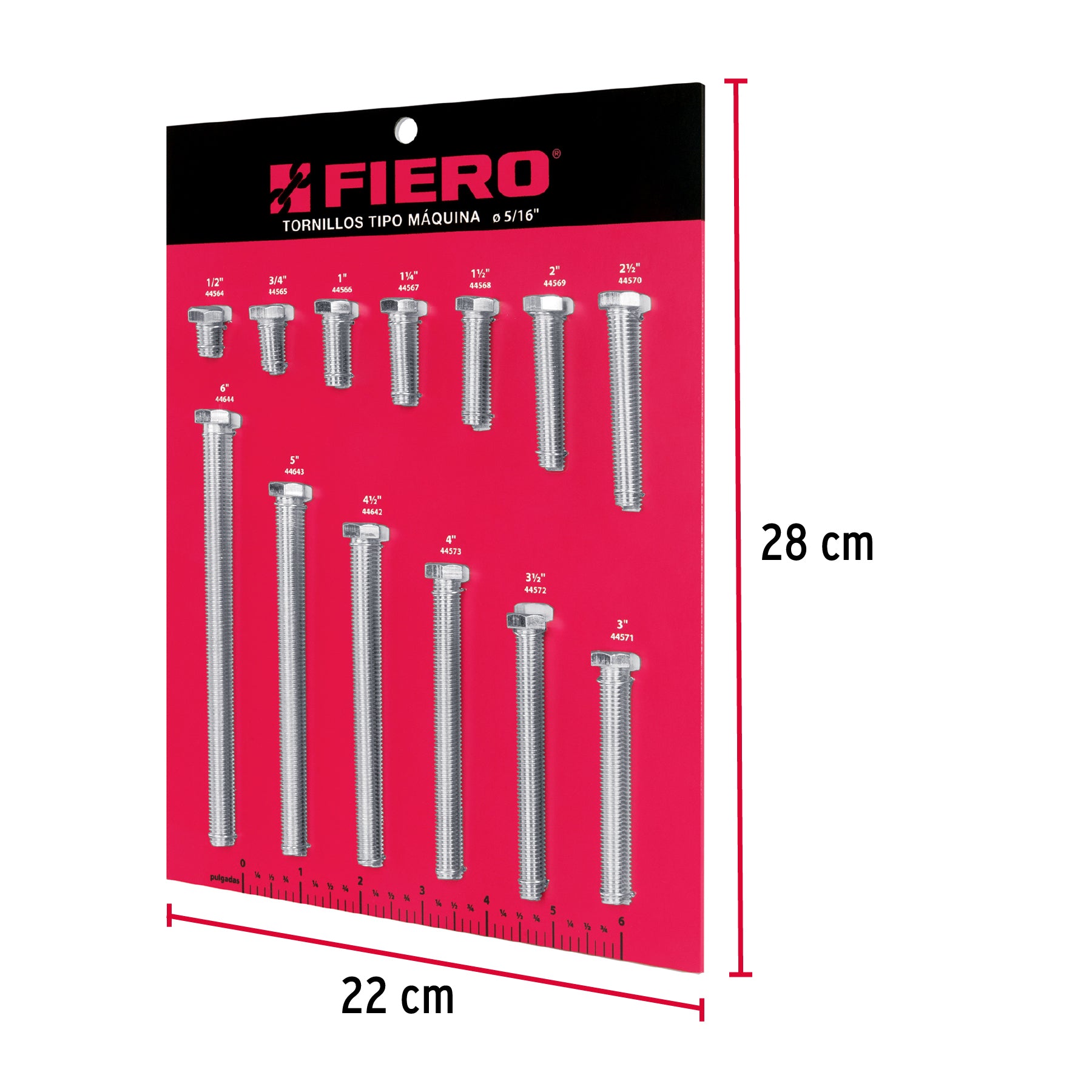 Exhibidor Fiero con tornillos tipo máquina, 5/16' EXF-TORM-5/16 55897 MM3