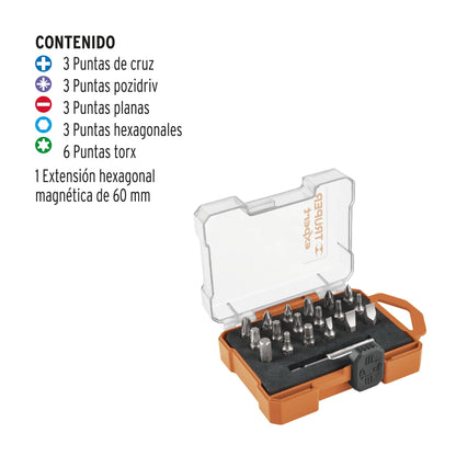 Juego de 19 puntas mixtas largo 1' estuche plástico, Expert PUN-19X 11885 MM00