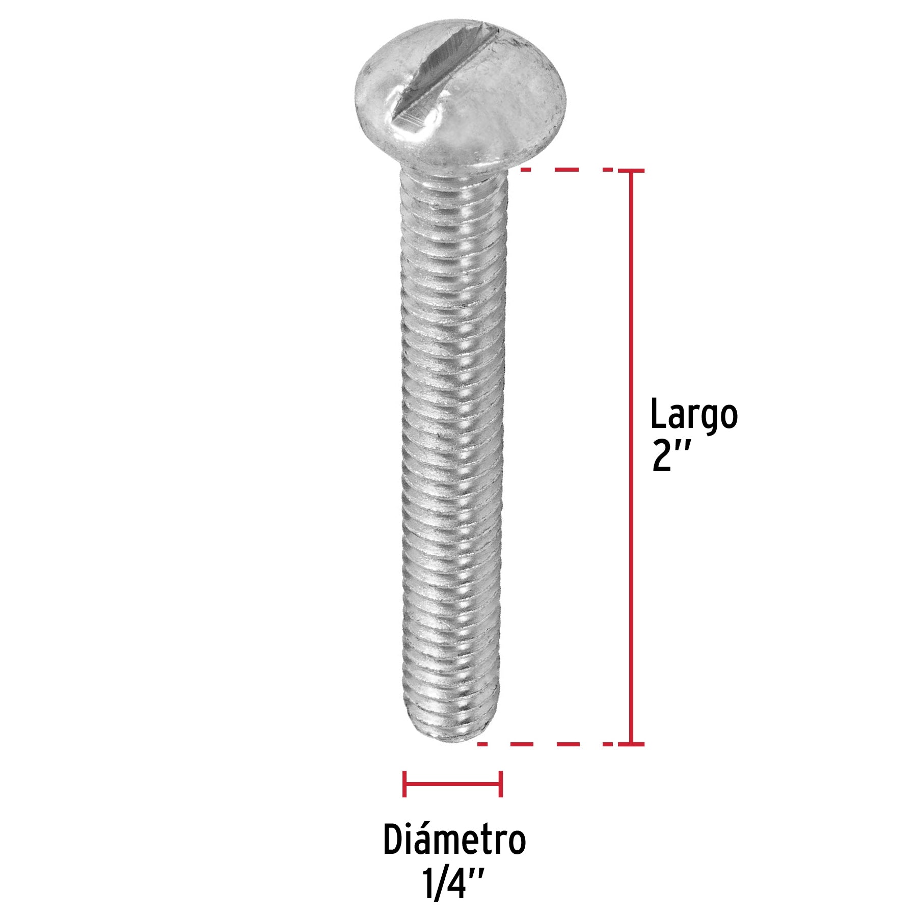 Bolsa con 50 tornillos 1/4 'x 2' tipo estufa, Fiero TORE-1/4X2 44629 MM00