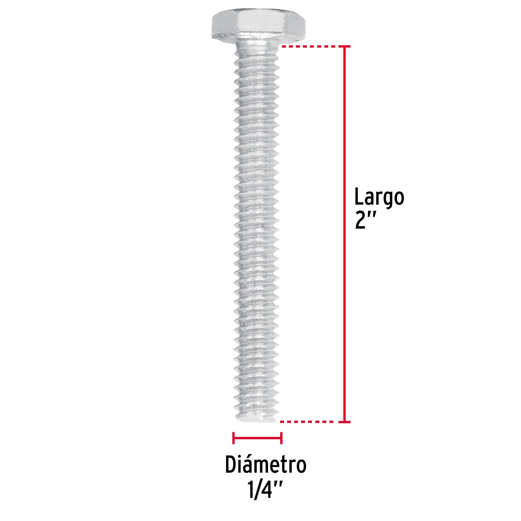 Bolsa con 60 tornillos 1/4' x 2' tipo máquina, Fiero TORM-1/4X2 44561 MM00