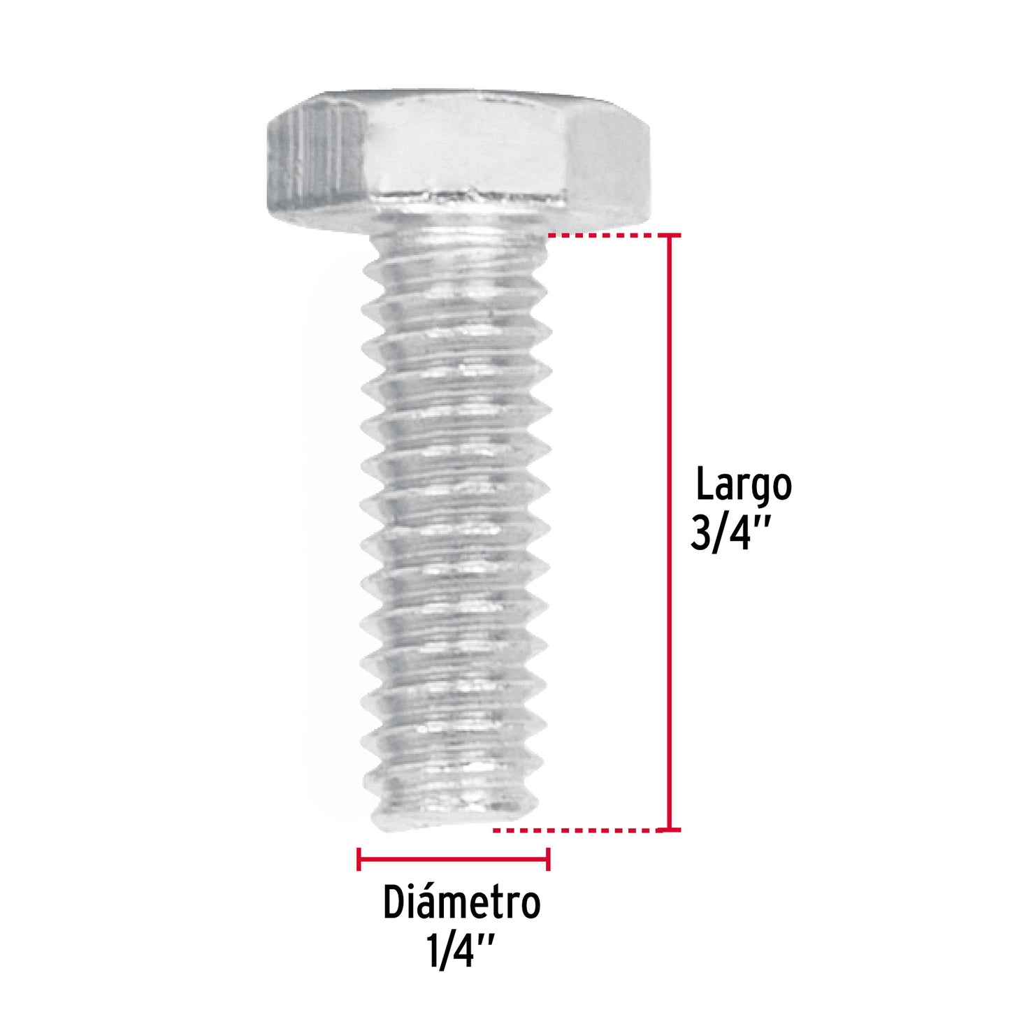 Bolsa con 100 tornillos 1/4' x 3/4' tipo máquina, Fiero TORM-1/4X3/4 44557 MM00