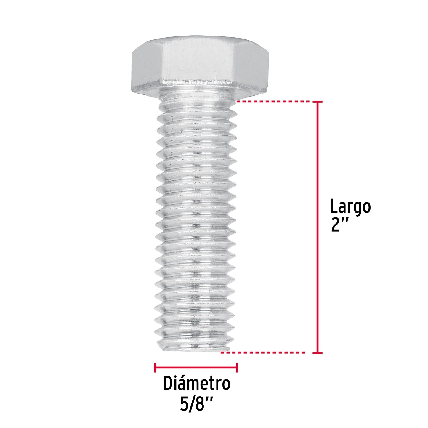 Bolsa con 10 tornillos 5/8' x 2' tipo máquina, Fiero TORM-5/8X2 44669 MM00